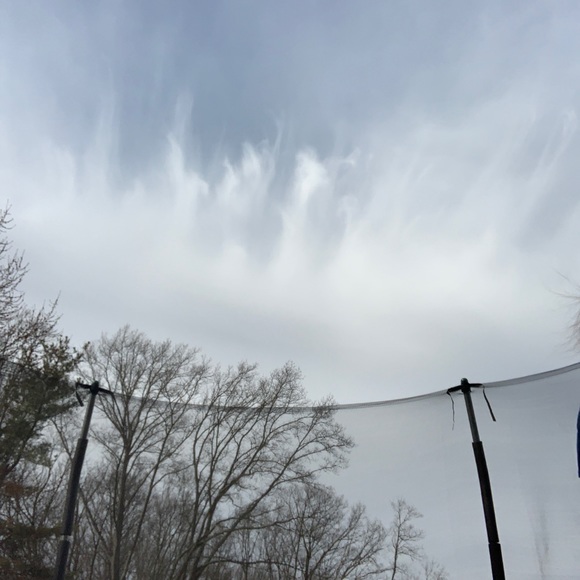 Meet your Posher, Emma - Picture 1 of 1